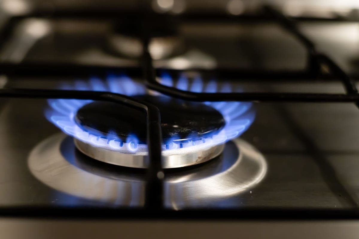 A blue gas flame on a kitchen burner
