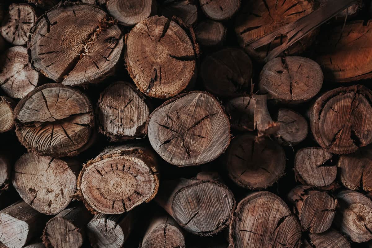 Stacked firewood logs seen close up